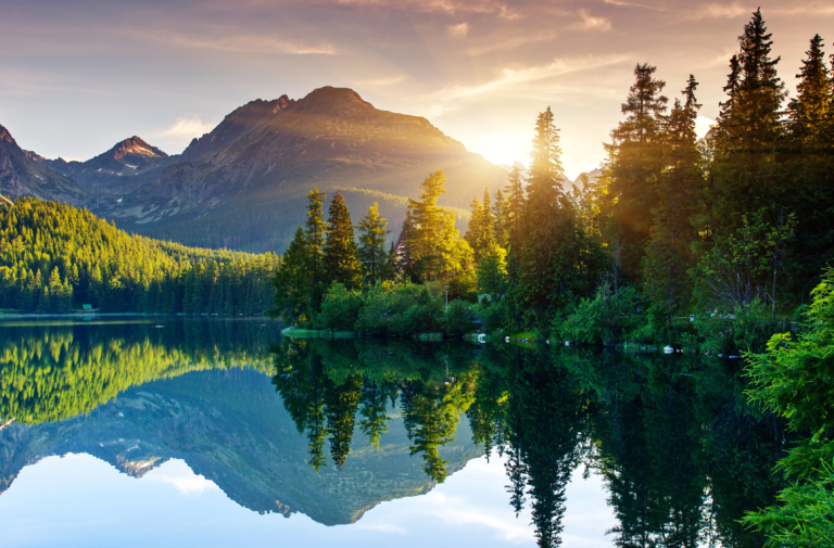 Promise of Eternal Life/Pathos & Glory: Part 2