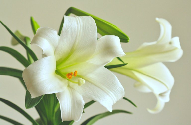 Glory Center Posting – April 2023