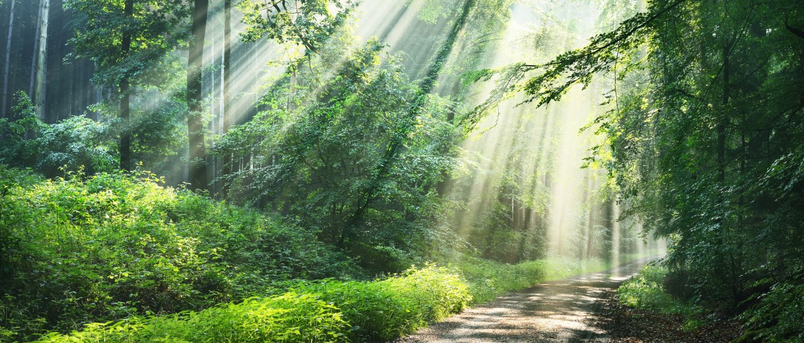 Pastoral Care Ministry