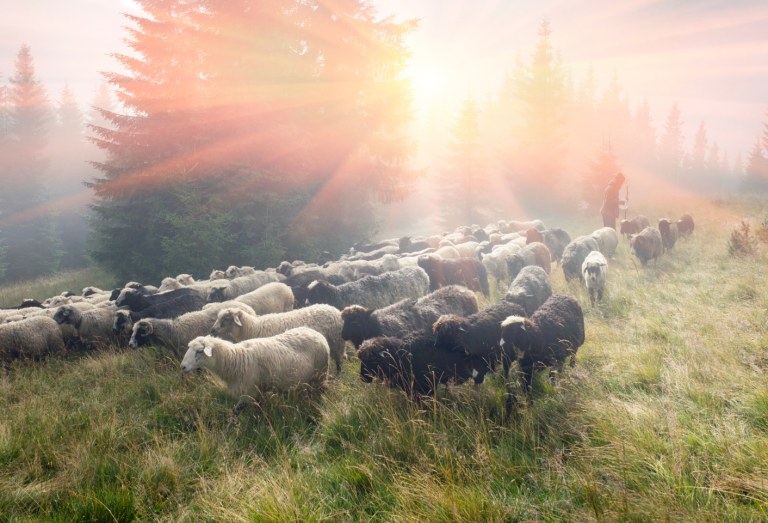 Overcoming Suffering & Surrendering to God: Part 2